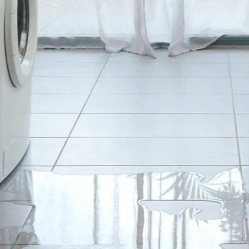 Appliance Leak Cleanup in Frankfort, OH