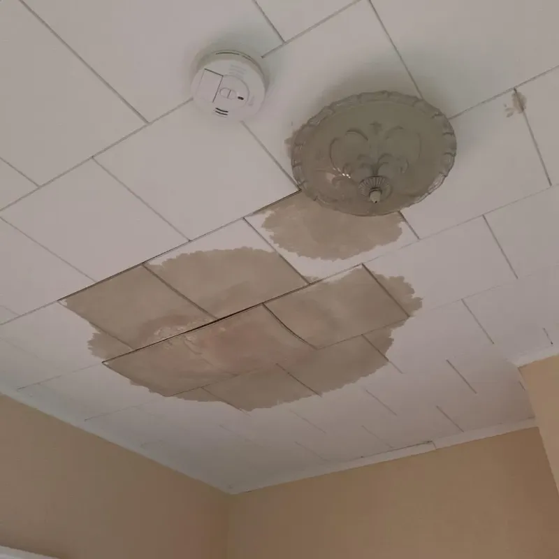 Ceiling Water Damage Repair in Frankfort, OH