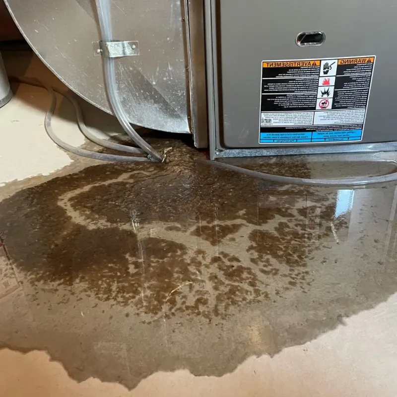 Pipe Burst and Leak Restoration in Frankfort, OH
