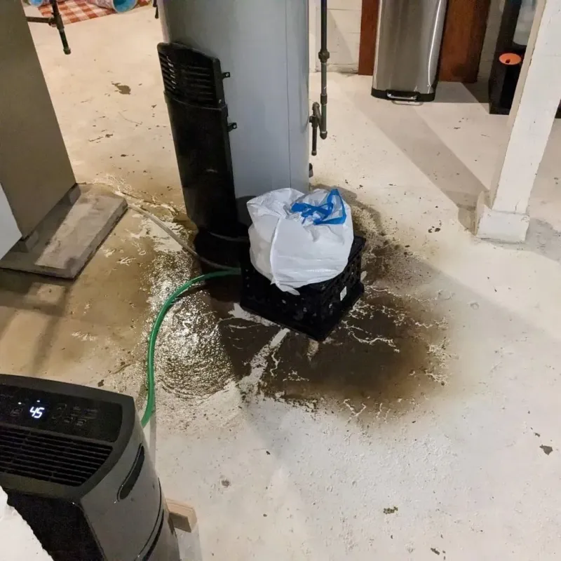 Sewage Backup Cleanup Service in Frankfort, OH